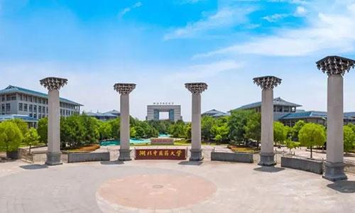 2022年湖北中医药大学成人高考不复习能通过吗